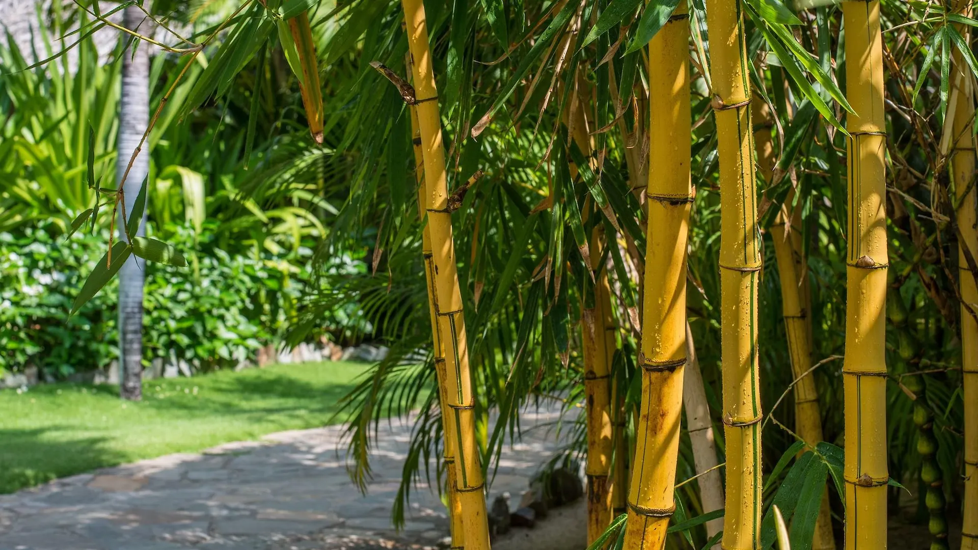 Sailing Club Resort Mui Ne Phan Thiet